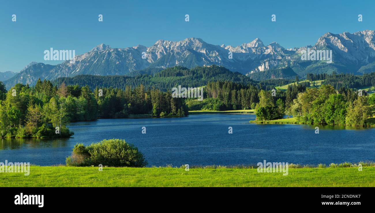 Lago di Schwaltenweiher, Seeg, Alpi Allgau, Allgau, Schwaben, Baviera, Germania, Europa Foto Stock