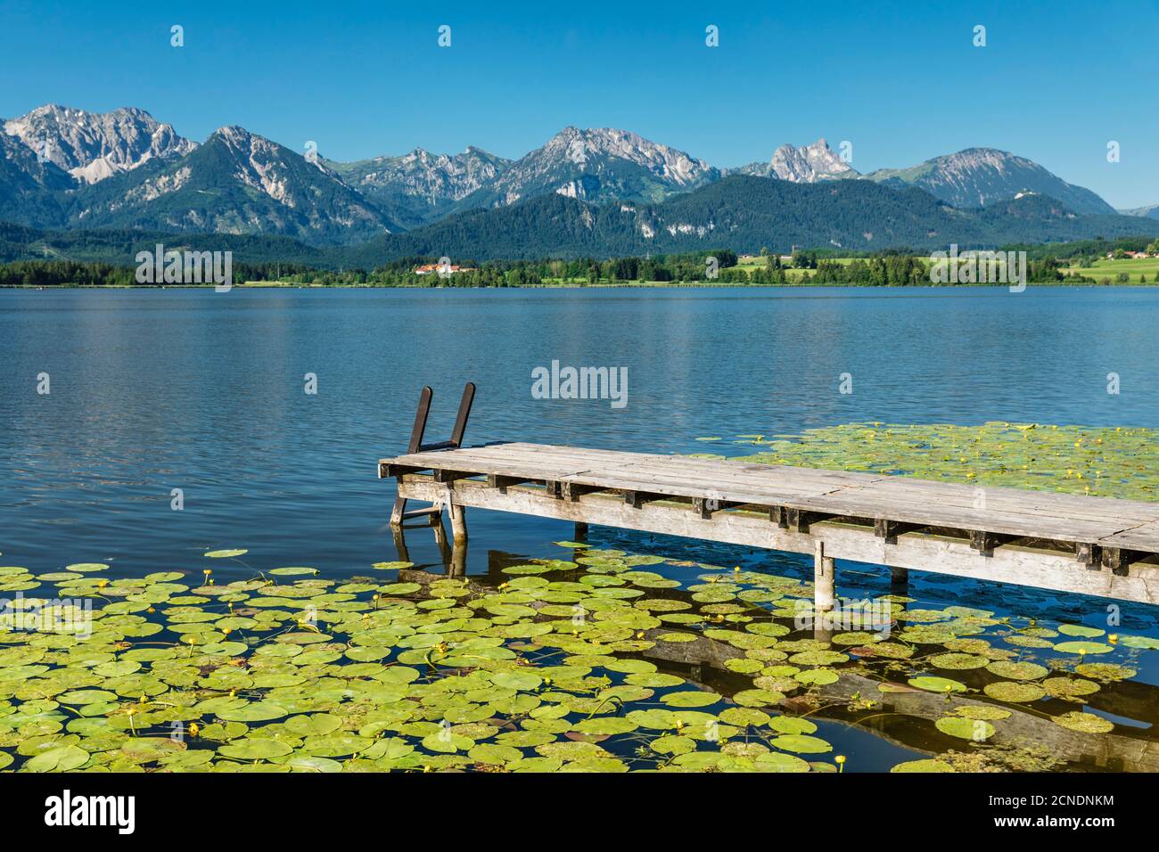 Molo sul lago Hopfensee, Hopfen am See, Alpi Allgau, Allgau, Schwaben, Baviera, Germania, Europa Foto Stock