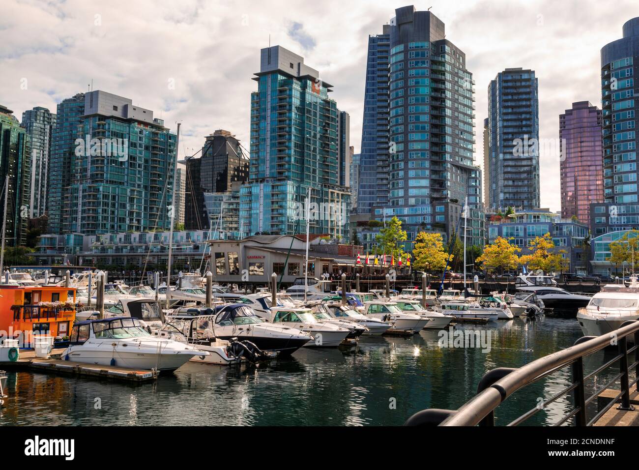 Marina a Coal Harbour, con imbarcazioni da diporto e barche da casa, skyline della città, Vancouver, British Columbia, Canada Foto Stock