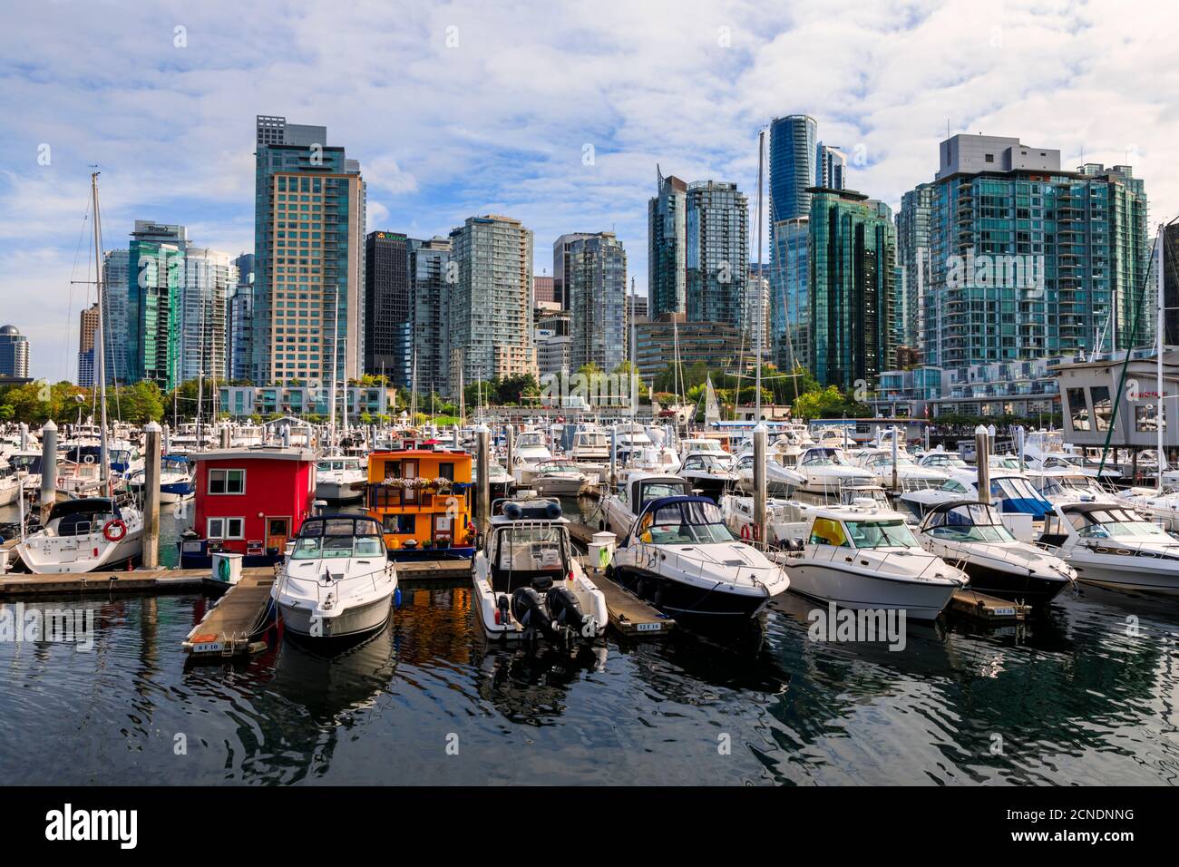 Marina a Coal Harbour, con imbarcazioni da diporto e barche da casa, skyline della città, Vancouver, British Columbia, Canada Foto Stock