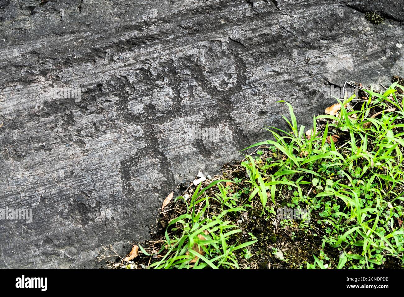 Disegni rupestri di figure umane che pregano o ballano, Parco Nazionale Naquane, Capo di Ponte, Valcamonica (Val Camonica), provincia bresciana, Lombardia, Italia Foto Stock