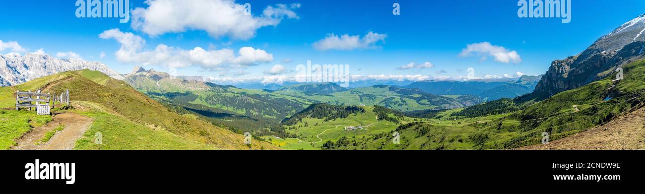 Panoramica dei prati verdi dell'Alpe di Siusi in estate, Dolomiti, Alto Adige, Italia, Europa Foto Stock