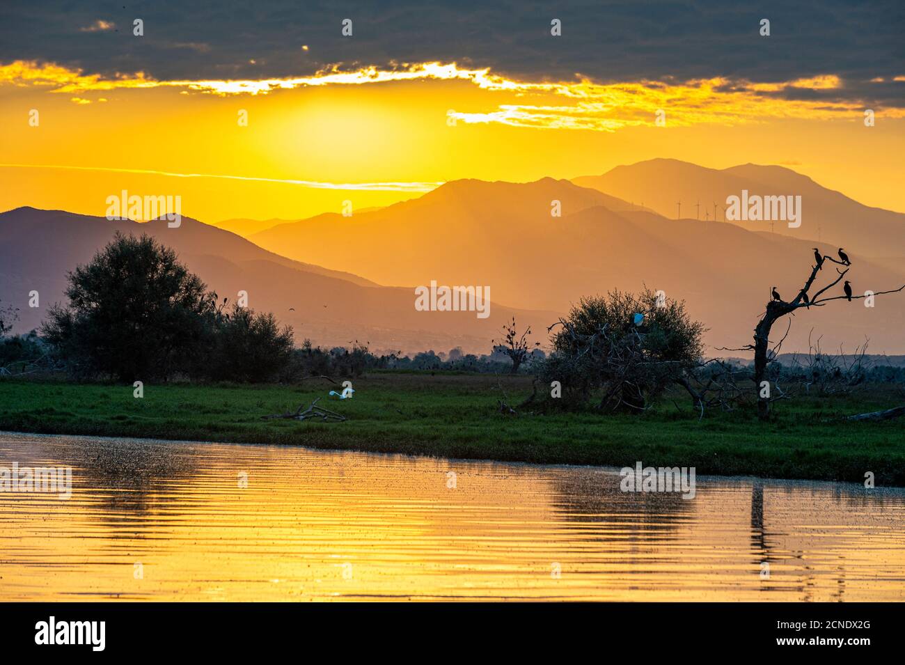 Alba sul lago Kerkini, Macedonia, Grecia, Europa Foto Stock