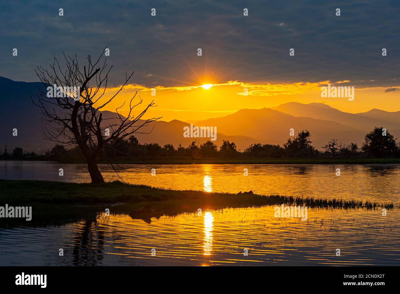 Alba sul lago Kerkini, Macedonia, Grecia, Europa Foto Stock