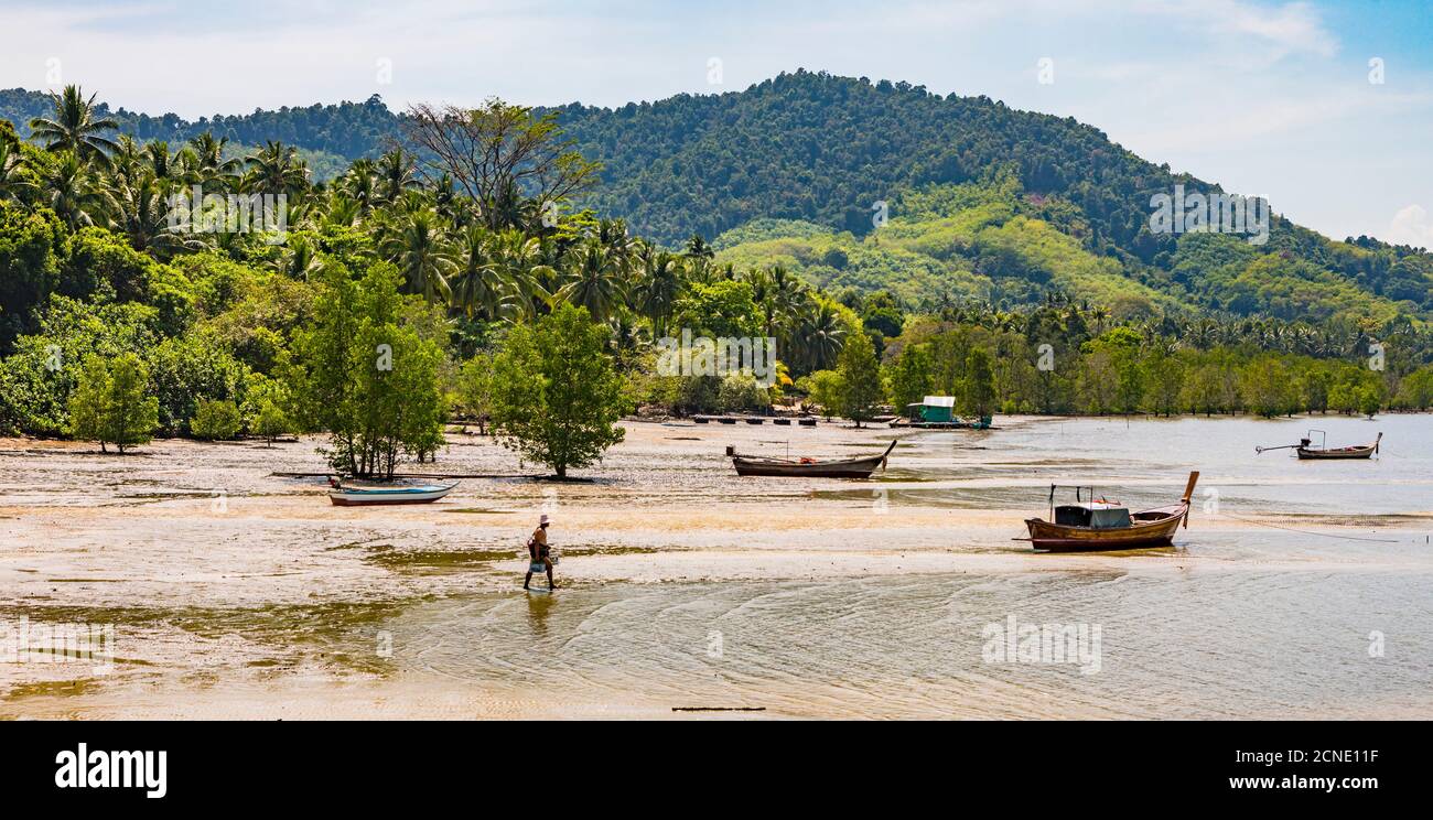 Ko Yao Yai, Thailandia meridionale, Thailandia, Sud-est asiatico, Asia Foto Stock