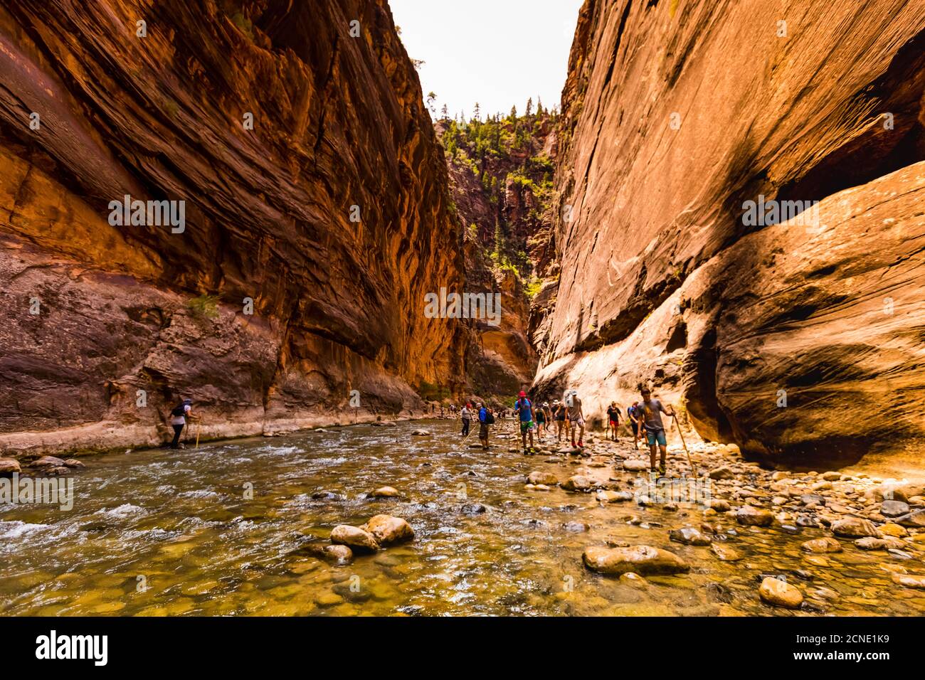 Escursioni lungo il Sand Hollow Trail, Utah, Stati Uniti d'America Foto Stock