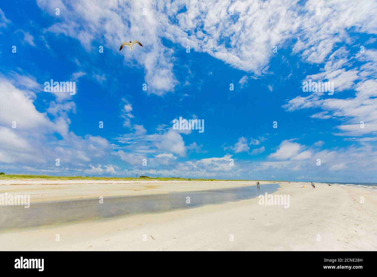 Spiagge di sabbia bianca su Ship Island, Gulf Coast, Mississippi, Stati Uniti d'America Foto Stock