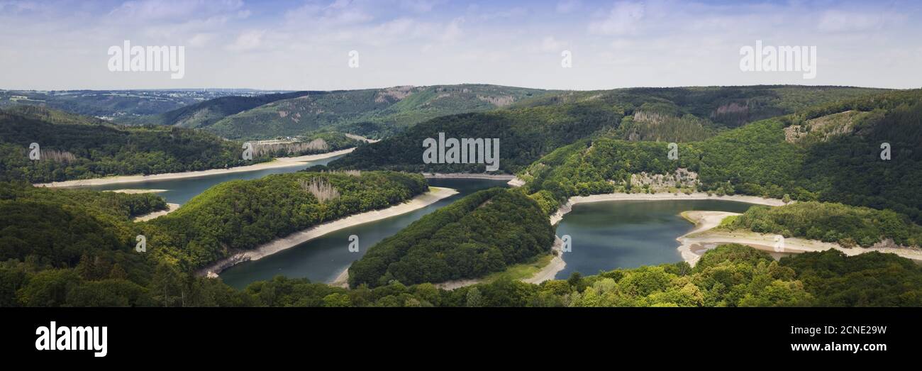 Vista aerea con Urftstausee, Parco Nazionale Eifel, Schleiden, Eifel, Germania, Europa Foto Stock