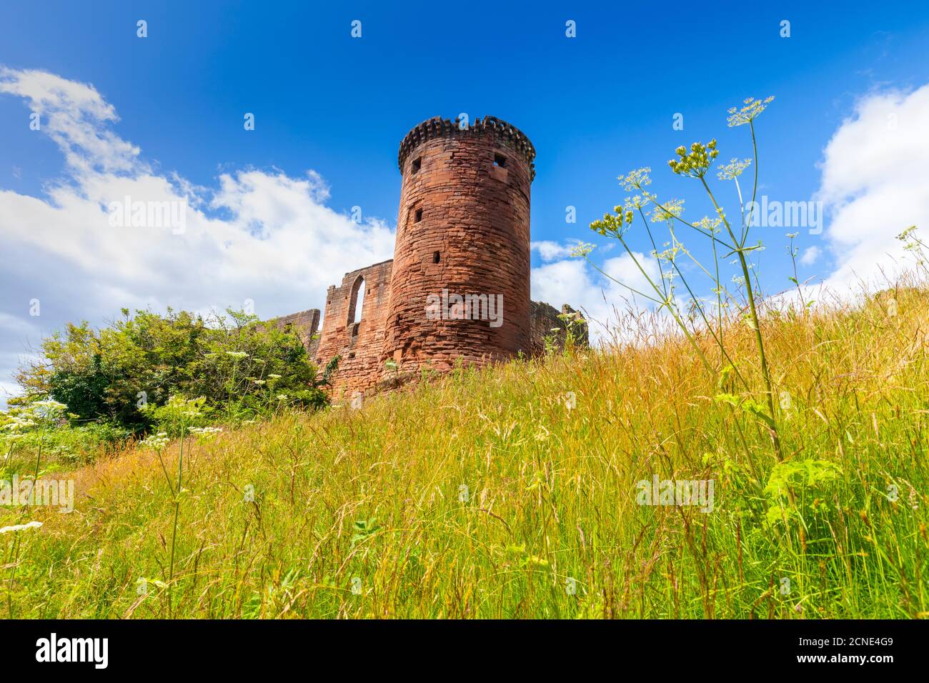Castello di Bothwell, Uddingston, Lanarkshire meridionale, Scozia, Regno Unito, Europa Foto Stock
