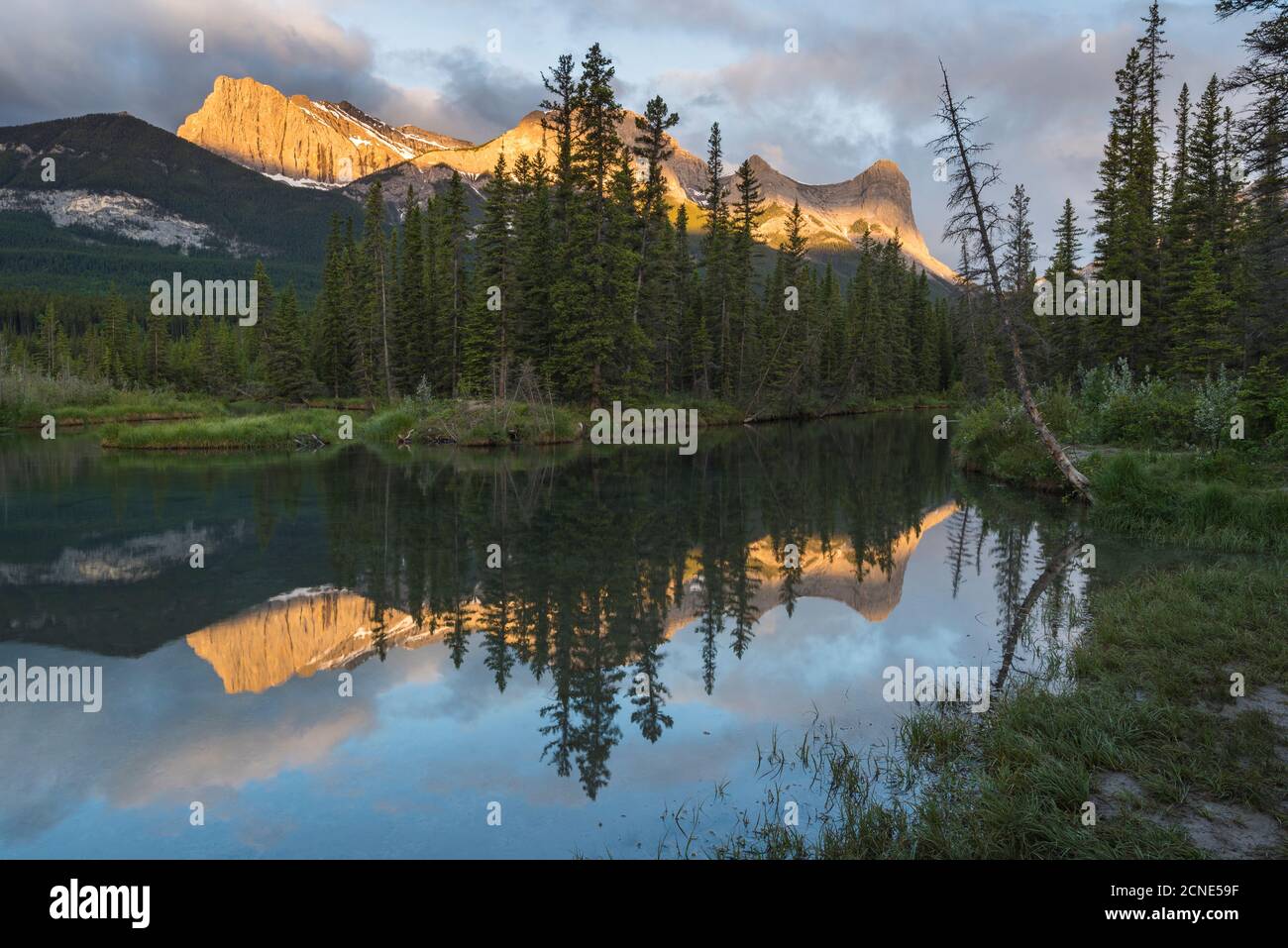 Ha Ling Peak alba a policeman Creek, Canmore, Alberta, Canadian Rockies, Canada Foto Stock