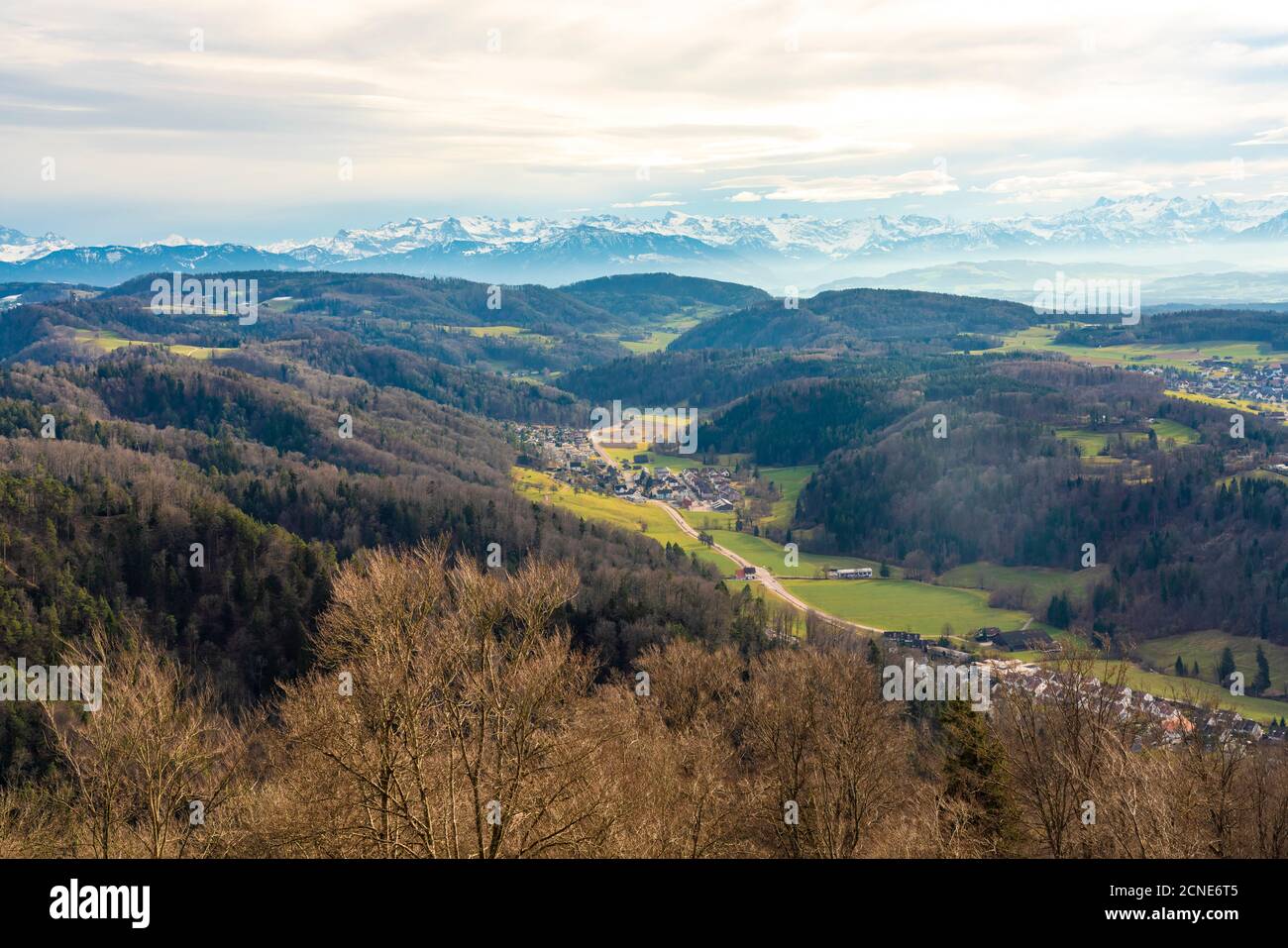 Vista dei campi intorno a Zurigo con le Alpi sullo sfondo da Uetliberg, Zurigo, Svizzera, Europa Foto Stock