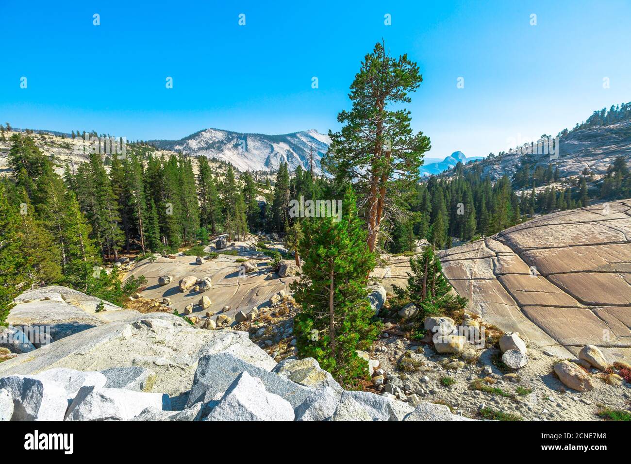 Panorama di Olmsted Point, fuori Tioga Pass Road nel Parco Nazionale di Yosemite, California, Stati Uniti d'America Foto Stock