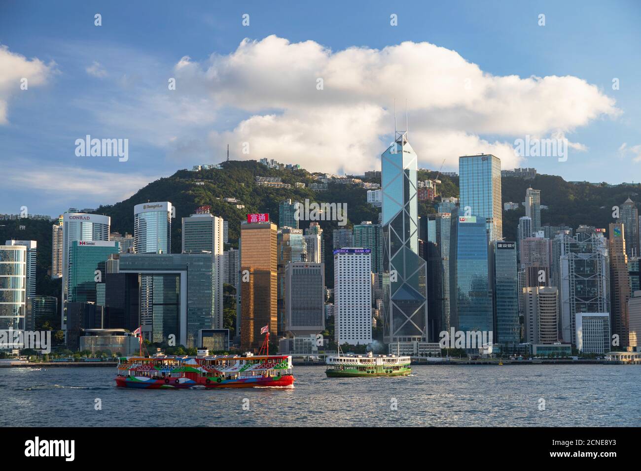 Star Ferry e skyline di Hong Kong Island, Hong Kong, Cina, Asia Foto Stock