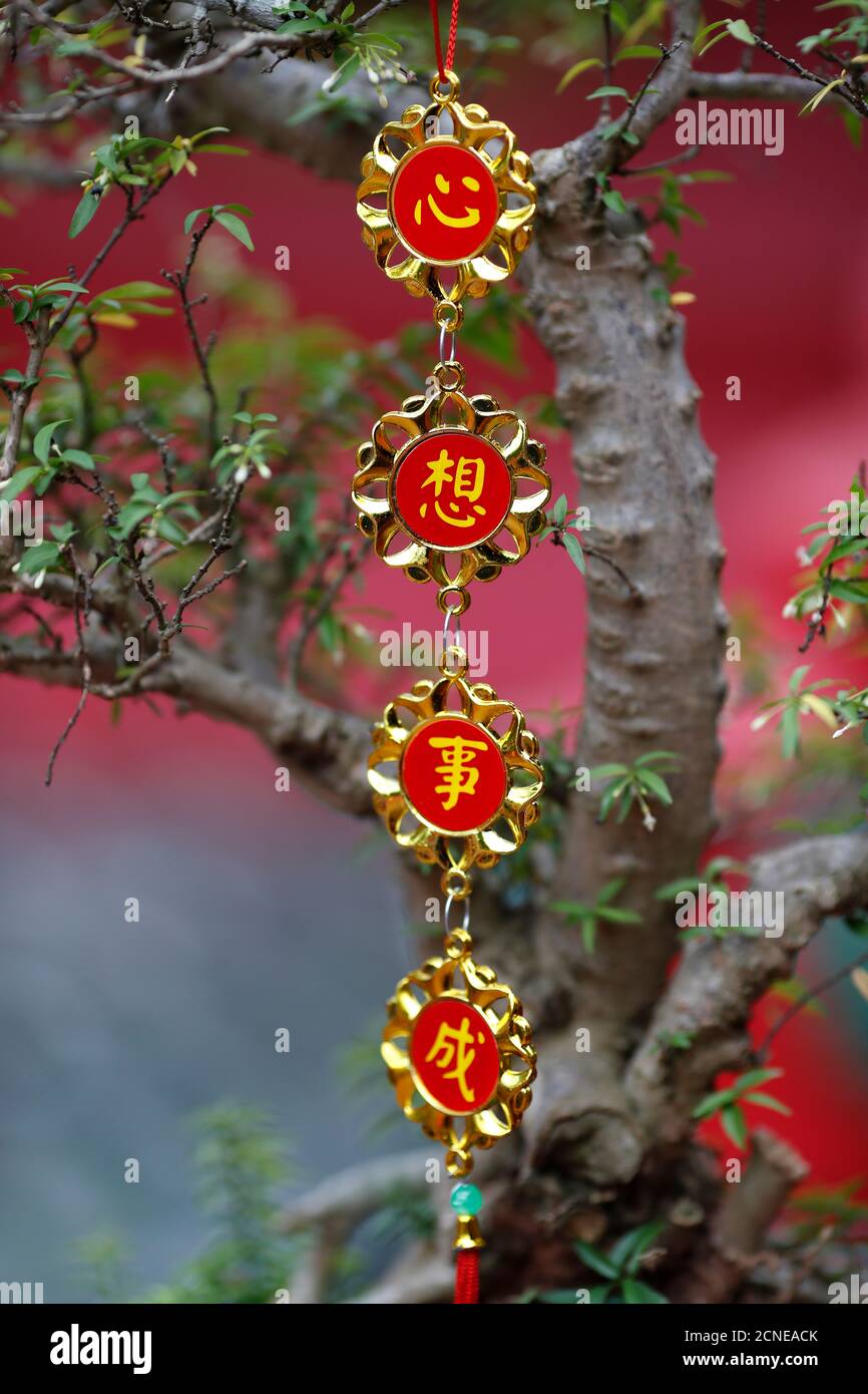 Decorazione cinese di festa di Capodanno, ho Chi Minh City, Vietnam, Indocina, Sud-est asiatico, Asia Foto Stock