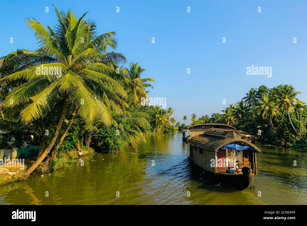Kerala houseboat crociera le acque interne orlate da palme in una tipica crociera turistica, Alappuzha (Alleppey), Kerala, India, Asia Foto Stock
