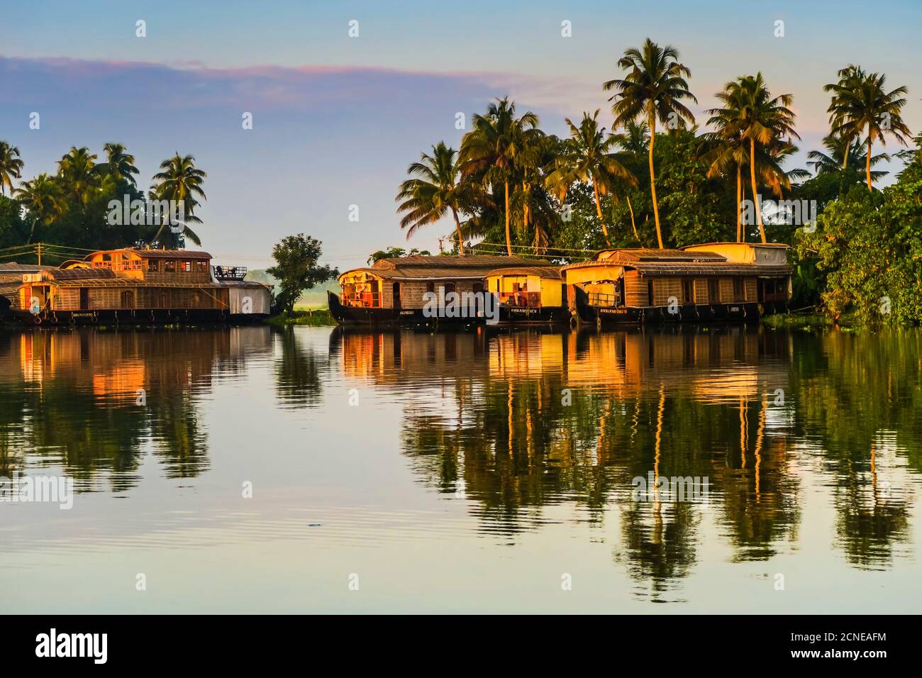 Le case galleggianti ormeggiate all'alba dopo il pernottamento sulla popolare crociera in backwater, Alappuzha (Alleppey), Kerala, India, Asia Foto Stock