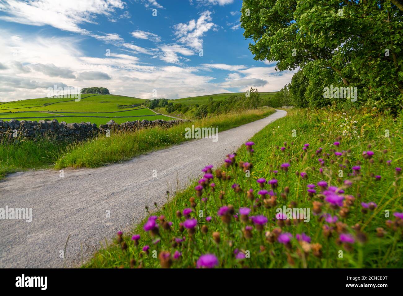 Vista del Tissington Trail vicino a Biggin, Ashbourne, Derbyshire, Inghilterra, Regno Unito, Europa Foto Stock