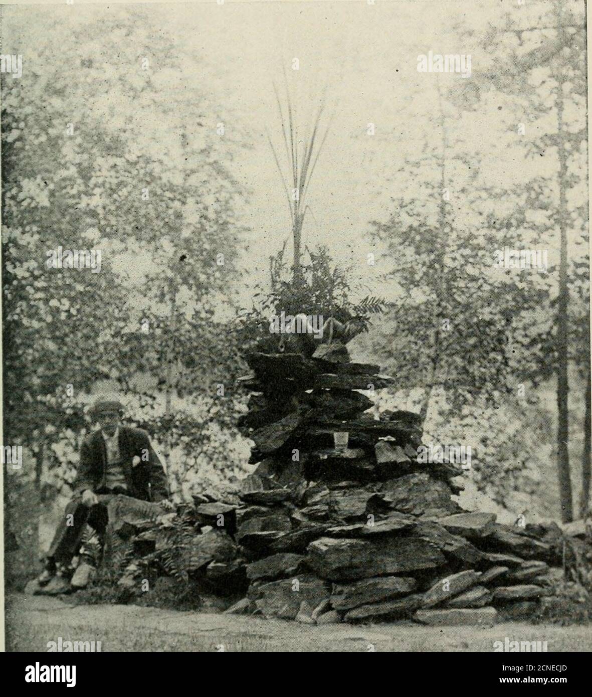 . Ornitologia americana, per esercizi a casa e a scuola. Location.The Camp è splendidamente situato sulla riva occidentale del lago Quinsi-gamond, circa un miglio a nord della strada rialzata, sul vecchio campeggio e zone di pesca degli indiani Nipmuck. Occupa i quaranta parchi di proprietà della Worcester Natural History Society. Il tratto in-cludes colline, foresta e terra aperta. La posizione è tutto ciò che si può desiderare da un punto di vista sanitario. Il campo è ben ombreggiato da grandi alberi forestali di vario genere; le tende sono piantate su terreno asciutto e ghiaioso ai piedi della collina di Wigwam. Il hil boscoso Foto Stock