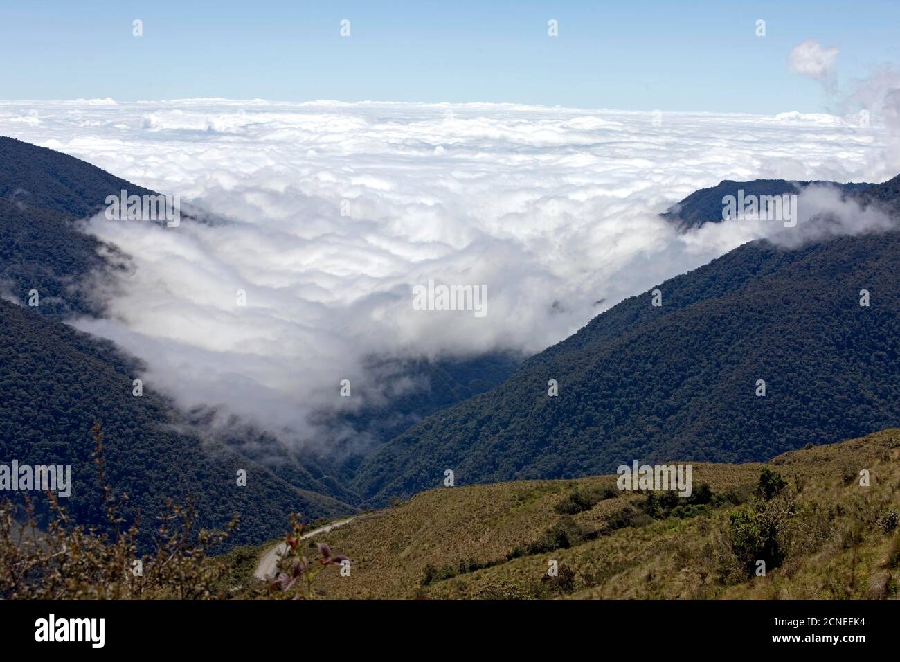 Parco Nazionale Di Manu Sotto Le Nuvole, Perù Foto Stock
