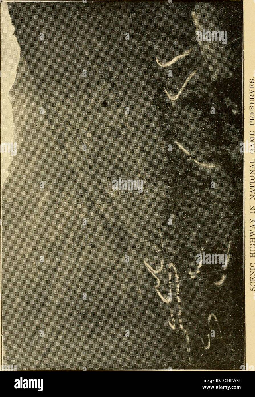 . Primo rapporto di selvaggina e pesce guardiano per il nuovo Messico. 1909-1910-1911 . tissifying than in the state of Xew ^^eico. WlnM-ethe turista e sight-seer luis. In passato, heen tutto troppo casualmente invitato. Nel tentativo di hring ahout tlu estahliishment (d questo ampio |)resii-vehis reparto ha avuto la più forte cooperazione di V. S. Palmer del l)io|ogicalsurvey. .. (. Liingland, distretto forestei. E A. (. Cooper, l. S. gioco warden.MR. Cooper ha s])EMT diversi mesi indagando le condizioni di gioco in Xew.Mexico, ed è entlnisiastic owv le risorse e jiossihities degli stati. Regardingt Foto Stock