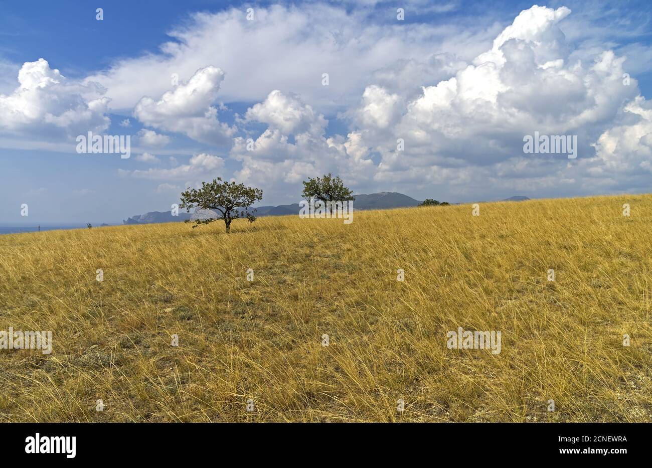 La cima piatta della montagna. Crimea. Foto Stock