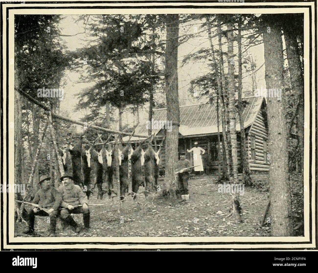 . In giungle di pini : un manuale per sportivi e campeggiatori nei grandi boschi del Maine . SPARATO NELLA GIUNGLA DI B. C^ A. 55 W^Here the Big Game Nascondi. DELLA superficie totale di terra di Maines, quasi 23,000 miglia quadrate areI ancora una foresta selvaggia, E di gran lunga la parte più grande della giungla-terra thisgreat è nella regione di Bangor & Aroostook.This significa che l'uomo che viene a caccia di grandi giochi nello stato di Pine Tree può cavalcare nell'altezza di conforttand ferroviario di lusso alle piste e iarde dei grandi forestdenizens. Troverà un sacco di gioco all'interno del suono del fischio locomico; o può entrare nel suo Foto Stock