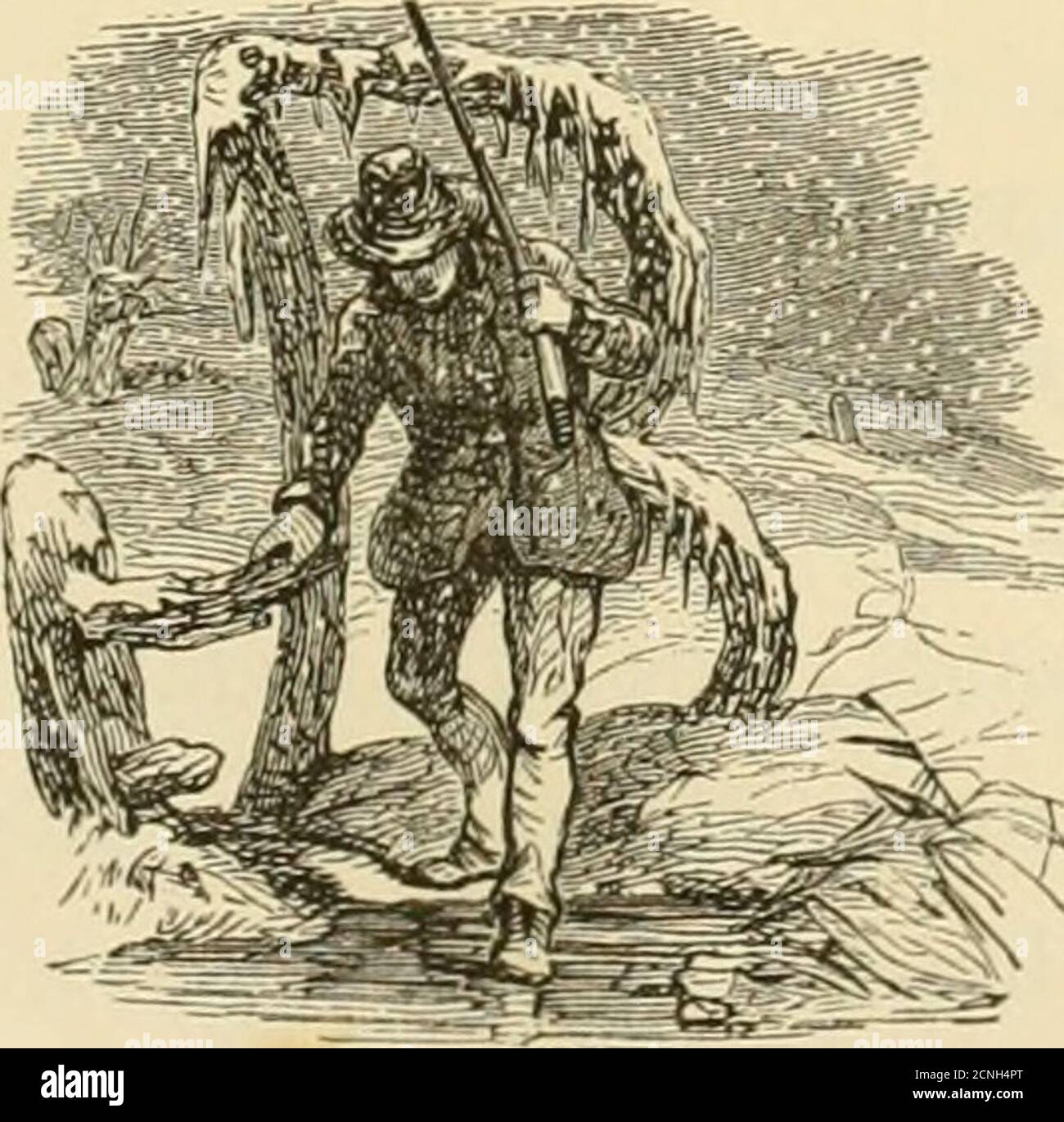 . Lo sportivo americano: . CAPITOLO XXIII. TELA-POSTERIORE. ANAS VALISINERIA. •ora tutti intorno a noi si levano i treni; Wild whistling ali su ogni band che sentiamo; l'allarme di morte in mezzo alle loro legioni sparsi, in file immensi winnow overhead. LA LORO STIMA ALTA. OTH con sportivi ed epicuri thefar-famed canvas-back si leva in avanti preminente per la ricchezza e la delicatezza di^ la sua carne; infatti, è concesso in tutti i quarti che nessun animale selvatico in qualsiasi ritratto del globo può viare nel sapore con thecanvas-back del Chesapeake o Poto-mac. Nessuna varietà di anatra è più eagerlyBought dopo dalla sp Foto Stock