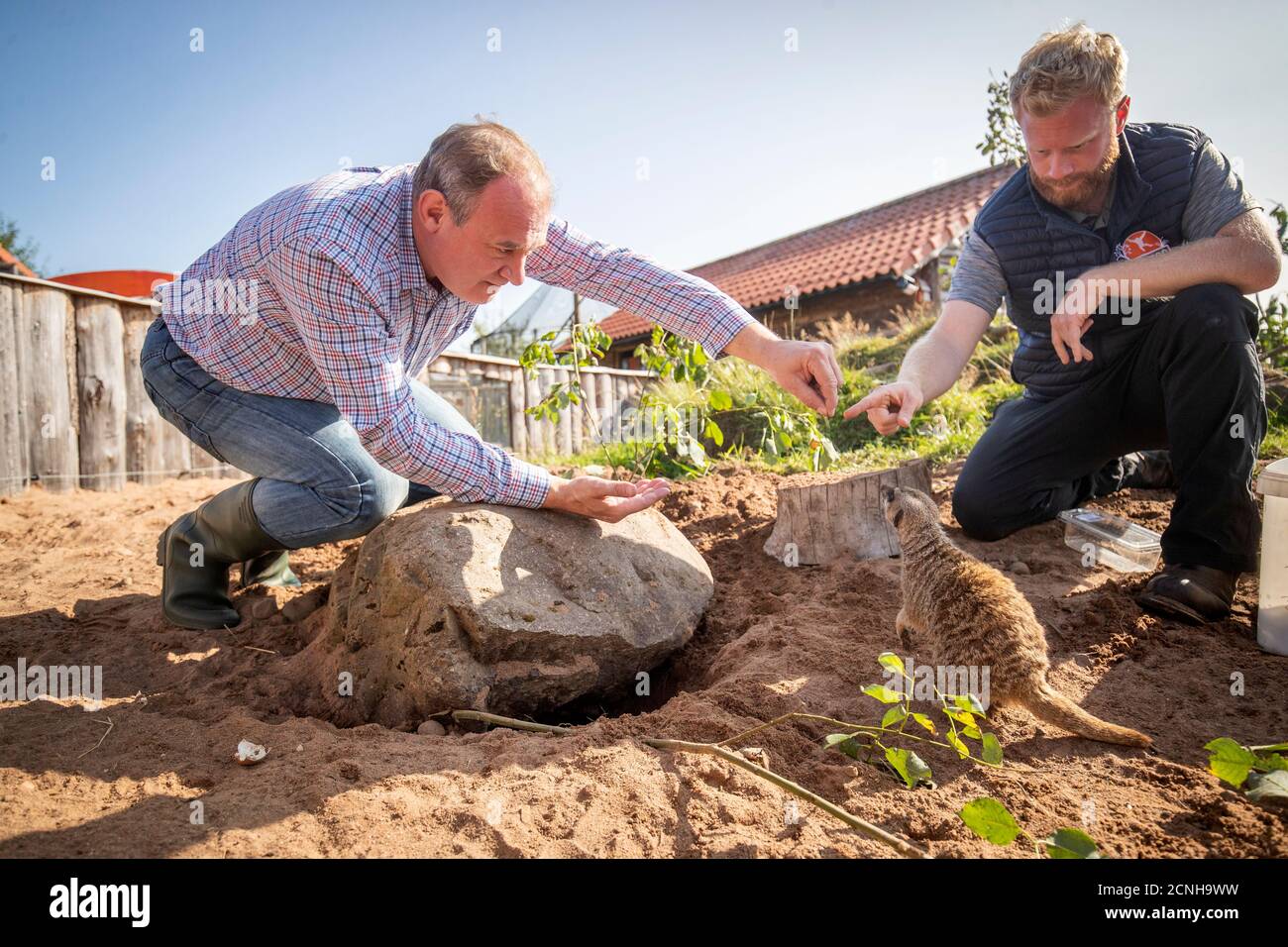 Il leader liberal-democratico ed Davey alimenta uno dei meerkat con il direttore dello zoo Michael Knight (a destra) durante una visita allo zoo di Fife a Cupar per incontrare i proprietari di aziende e il personale per scoprire come Covid ha influenzato la loro attività. Foto Stock