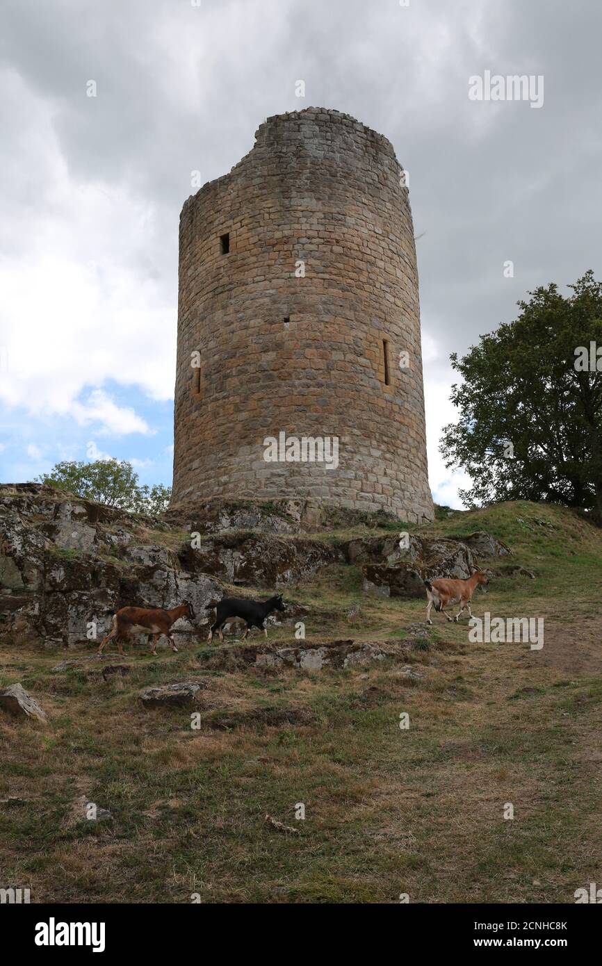 Château de Crozant, Vallée de la Sedelle, Crozant, Creuse, Francia centrale, Europa Foto Stock