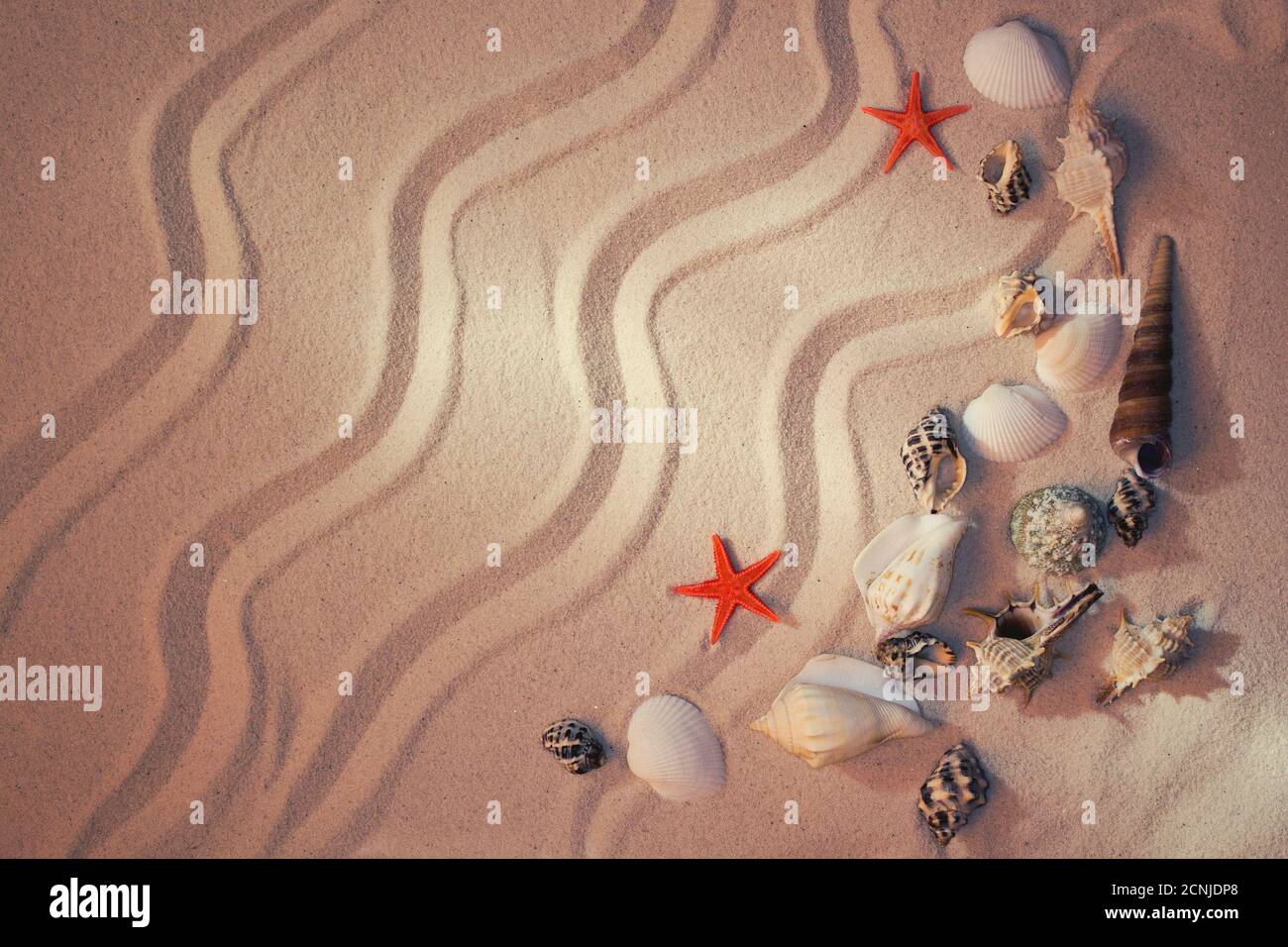 Sfondo di estate Foto Stock