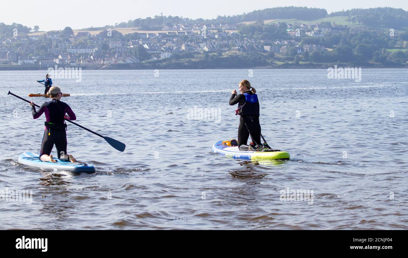 Dundee, Tayside, Scozia, Regno Unito. 18 Settembre 2020. Regno Unito tempo: Caldo e sole frizzante in tutto il Nord-Est della Scozia con temperature che raggiungono i 18°C. Dundee stand up Paddleboarders gruppo (noto come SUP) prendere la giornata fuori per godere il glorioso tempo metà settembre paddleboarding sul fiume Tay estuario a Broughty Ferry spiaggia. Credit: Dundee Photographics/Alamy Live News Foto Stock