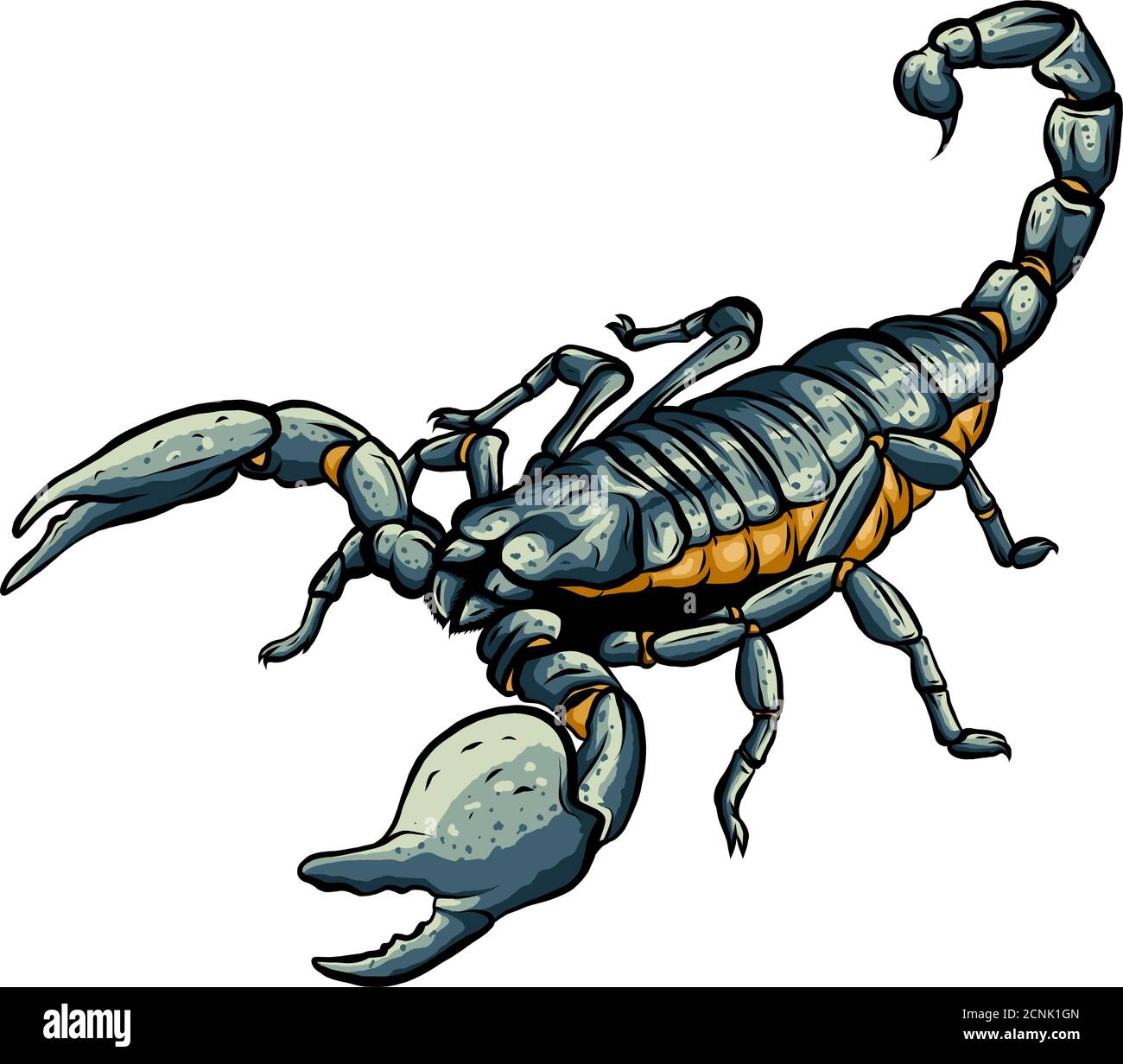 Illustrazione di scorpione arachnid insetto. Grafica vettoriale Illustrazione Vettoriale