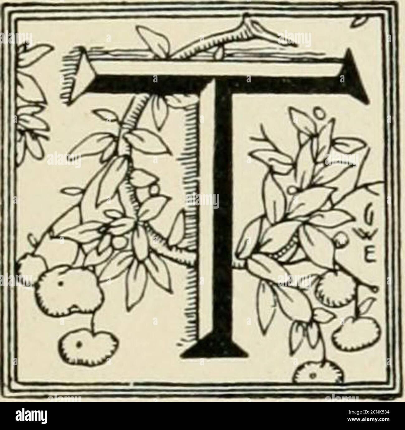 . Il libro del secolo dei famosi Americani : la storia di un pellegrinaggio dei giovani alle case storiche . ADAMS ACADEMY, QUINCY.Founded da John Adams e costruito sul luogo del luogo di nascita di John Hancock. CAPITOLO III. NELLA VECCHIA COLONIA da Plymouth a Dux Bury - il Capitano Puritano - la Webster Farm - Marshfield by the Sea - la Storia di Daniel Webster - la Casa, ofa Great American. HEY aveva trascorso due giorni deliziosi nella storica Plymouth, e lo zio Tom si dichiarò abbastanza pompato secco onColonial storia. Asciutto! Esclamò Jack, nel suo modo entusiasta. Questo non è possibile, zio Tom. Ti piace Foto Stock