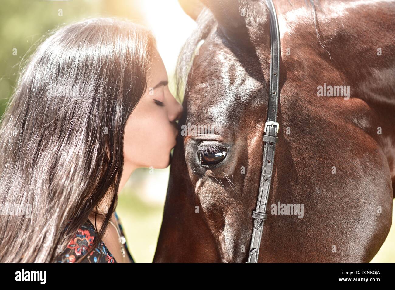 Cavallo e ragazza condividono un momento emotivo in primo piano come sembrano baciare. Faccia a faccia. Concetto di amore animali. Amore cavallo Foto Stock