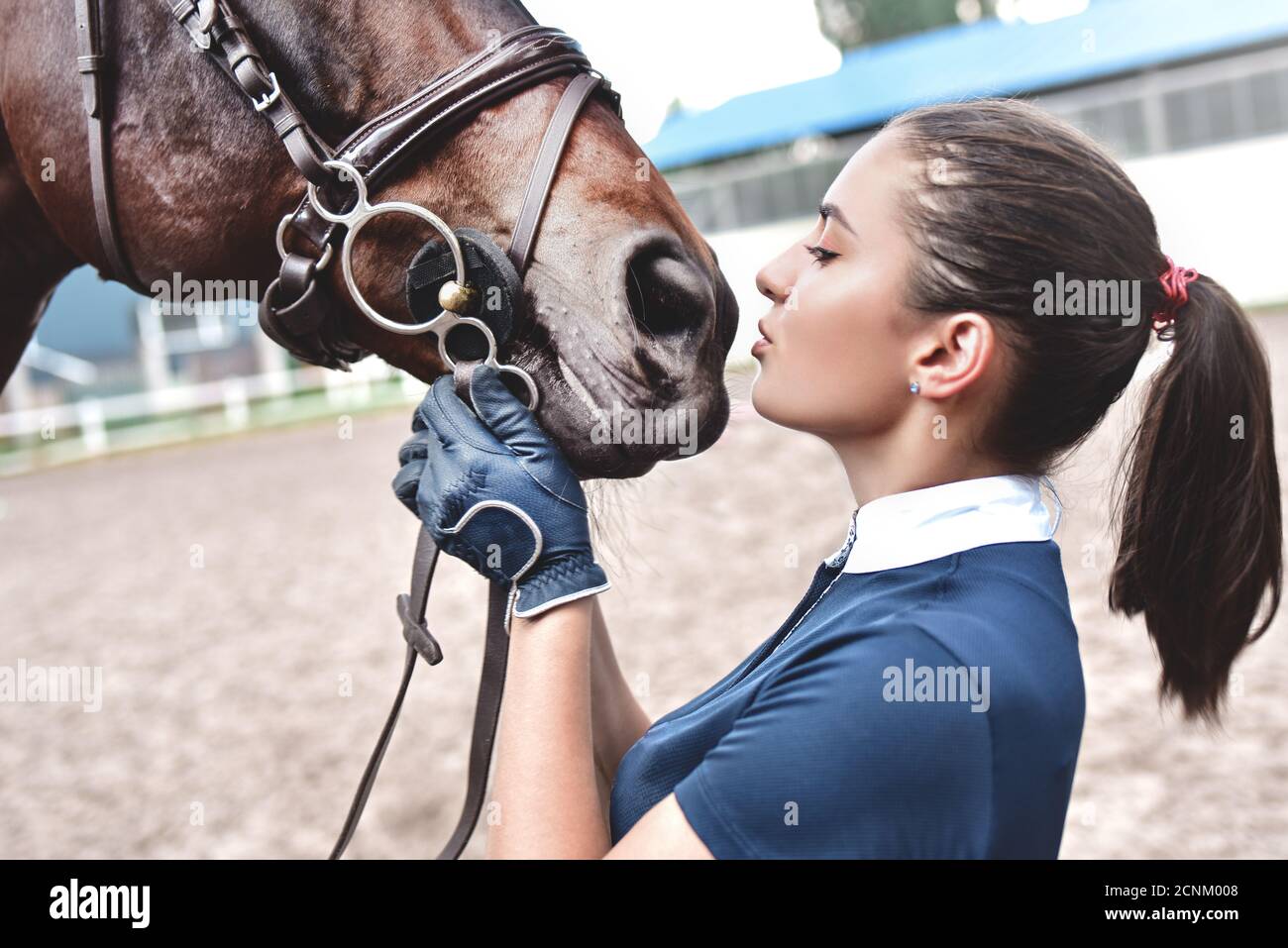 Abbracciare un cavallo immagini e fotografie stock ad alta risoluzione -  Alamy