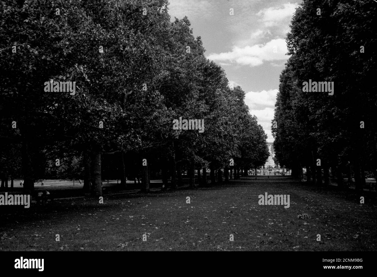 Green Park, Buckingham Palace, Westminster, Regno Unito, Gran Bretagna, Inghilterra Foto Stock