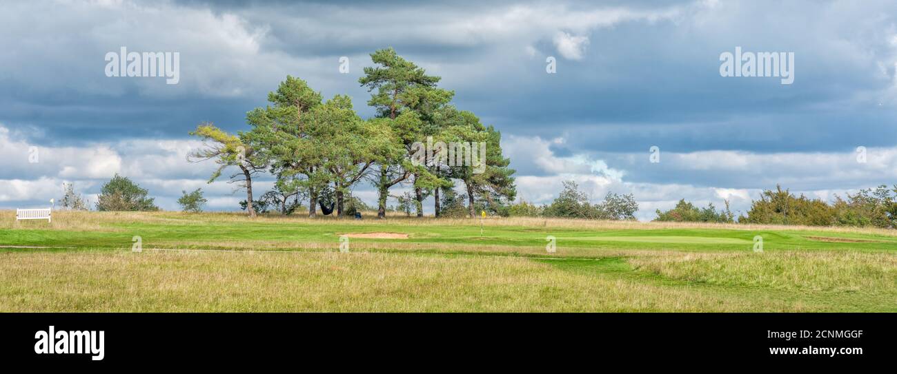 Pittoresco campo da golf con abeti, il Cotswolds, Inghilterra, Regno Unito Foto Stock