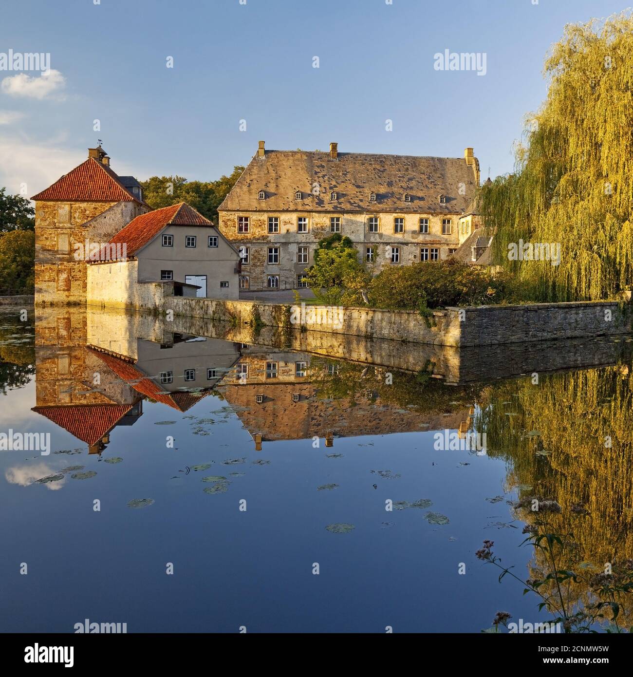 Moated Castle Tatenhausen, Halle, East Westfalia, Nord Reno-Westfalia, Germania, Europa Foto Stock