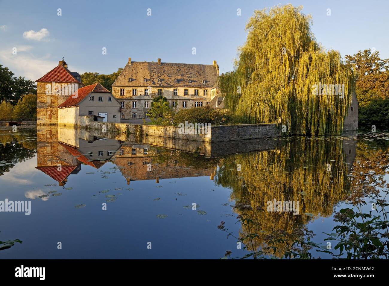Moated Castle Tatenhausen, Halle, East Westfalia, Nord Reno-Westfalia, Germania, Europa Foto Stock