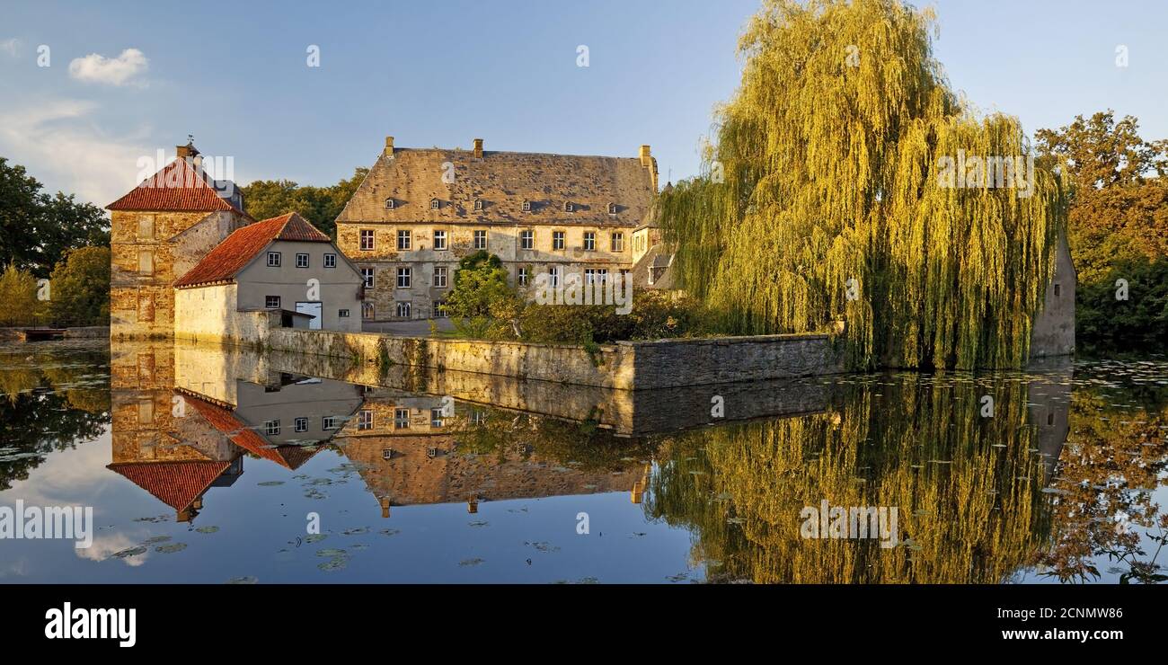 Moated Castle Tatenhausen, Halle, East Westfalia, Nord Reno-Westfalia, Germania, Europa Foto Stock