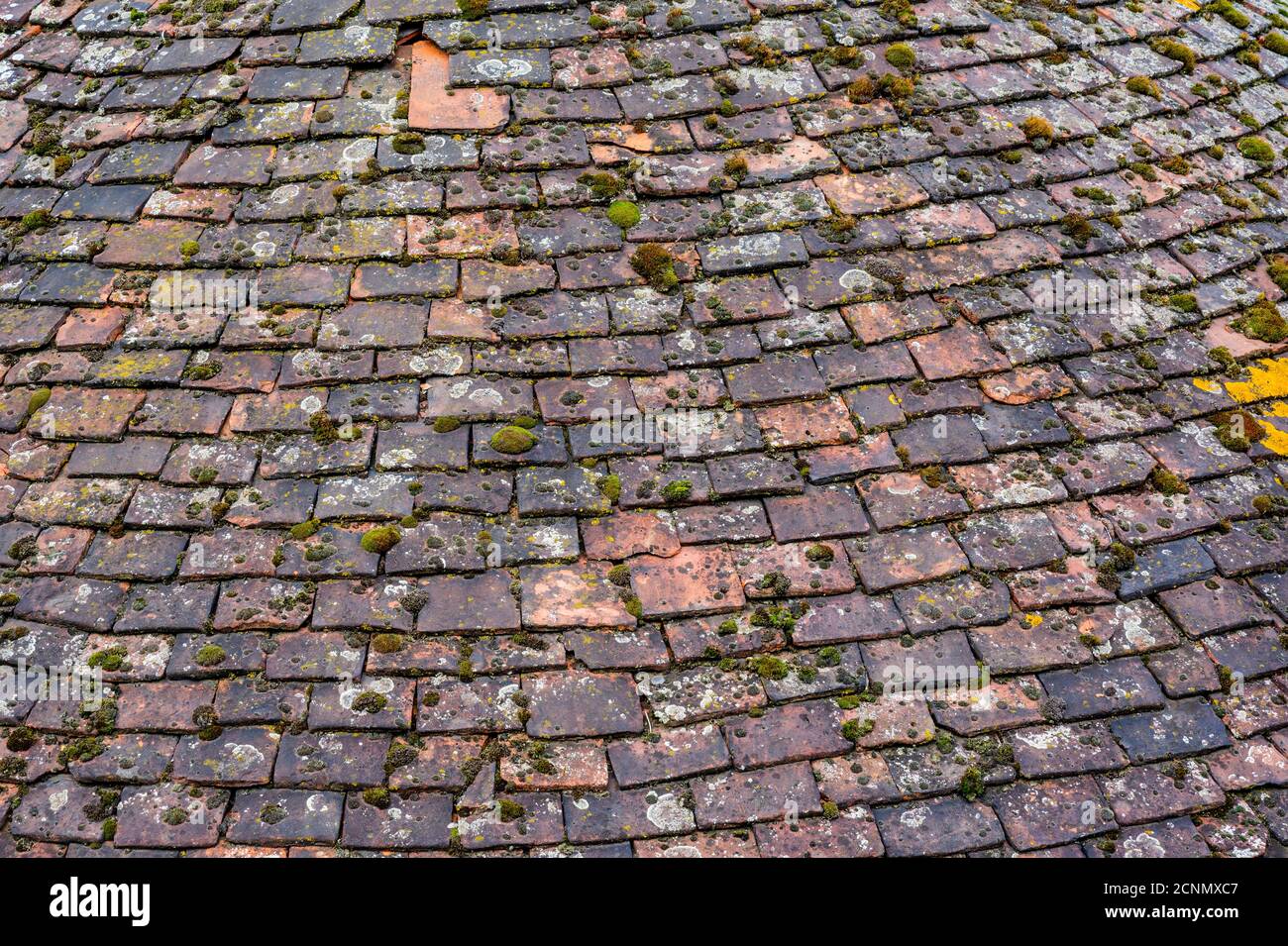 Struttura del tetto senza cuciture di tegole piatte rosse con motivi di linea incorporati. Foto Stock