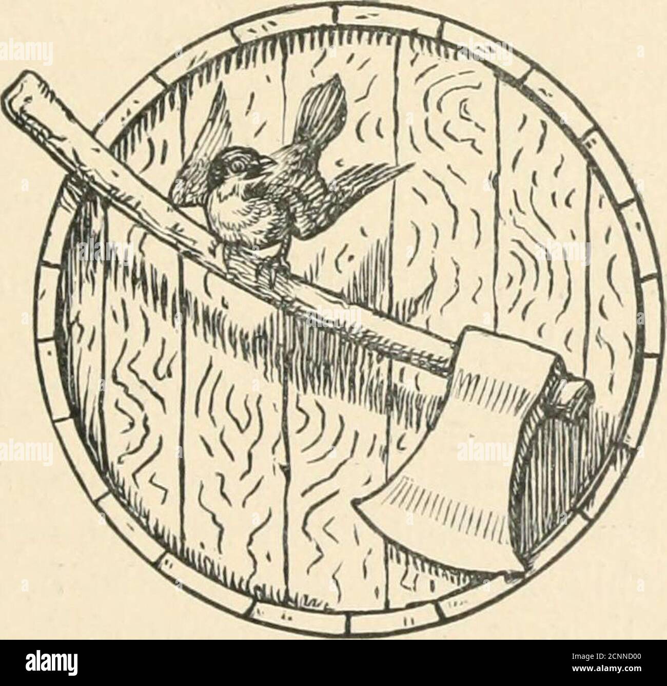 . Storie di famiglia dalla collezione dei Bros. Grimm . ! Allora il thewagoner afferrò la sua ascia e la gettò al passero, ma spezzò la finestra in due e non toccarono il passero, che ora saltò dentro, appollaiato sulla stufa, e gridò. Wagoner ti costerà la tua vita! E lui, pazzo e cieco con rabbia, picchiò nella stufa e mentre il passero volò IL CANE E IL PASSERO. 247 da un punto all'altro, si accamparono tutto a pezzi, a pezzetti, a vetri, a panche, a tavola e alle pareti stesse di una serra, ma non toccarono il passero. Finalmente lo catturò e lo tenne in mano. N Foto Stock