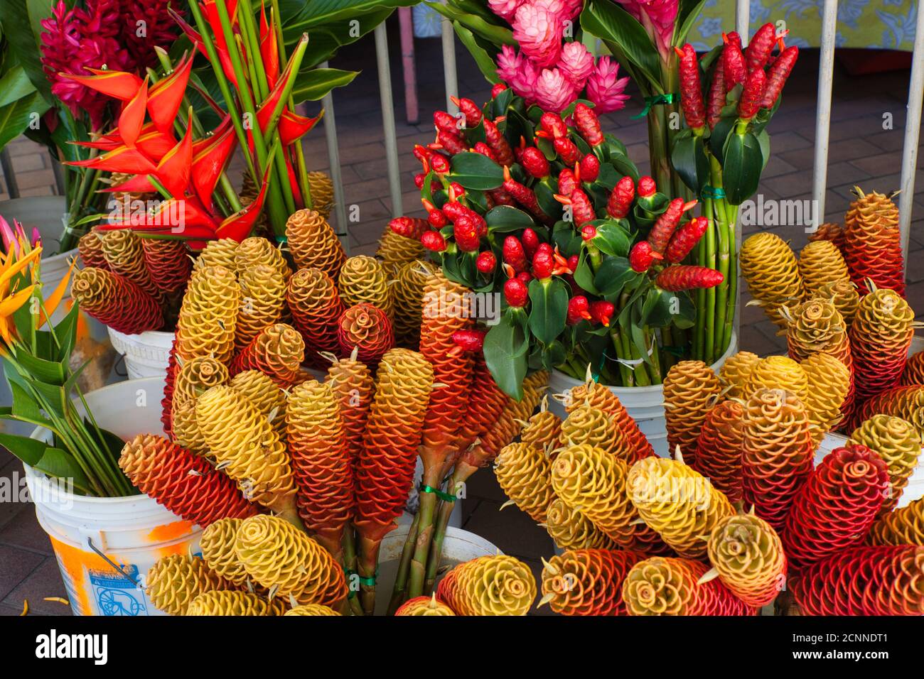 Una varietà di fiori e flora molto esotici e colorati in vendita nel mercato locale di Papeete, isola di Tahiti, Polinesia francese Foto Stock