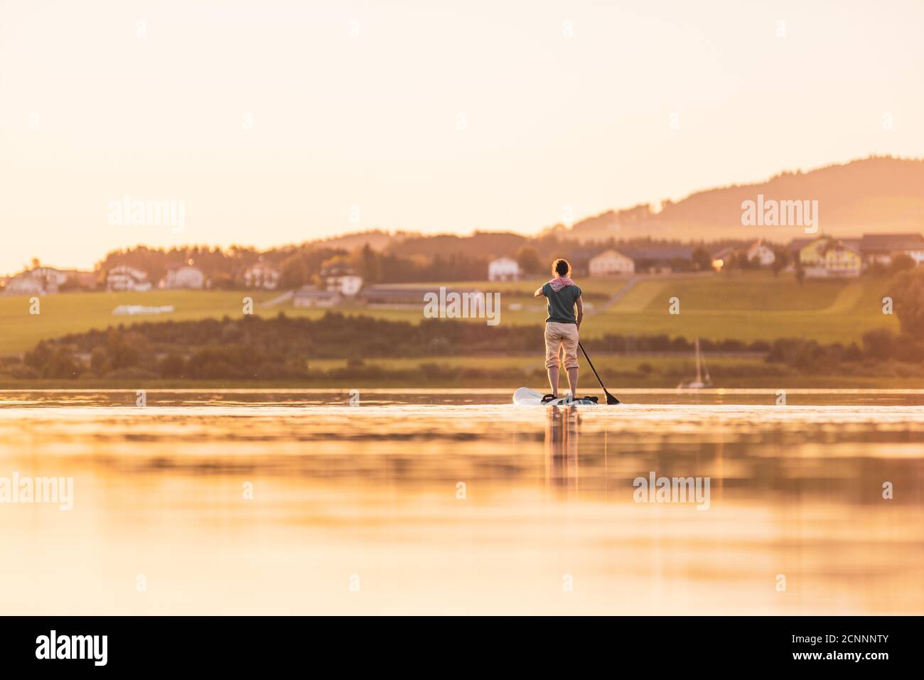 Giovane donna si levano in piedi su paddleboarding al tramonto, Lago di Wallersee, Flachgau, Salisburgo, Austria Foto Stock