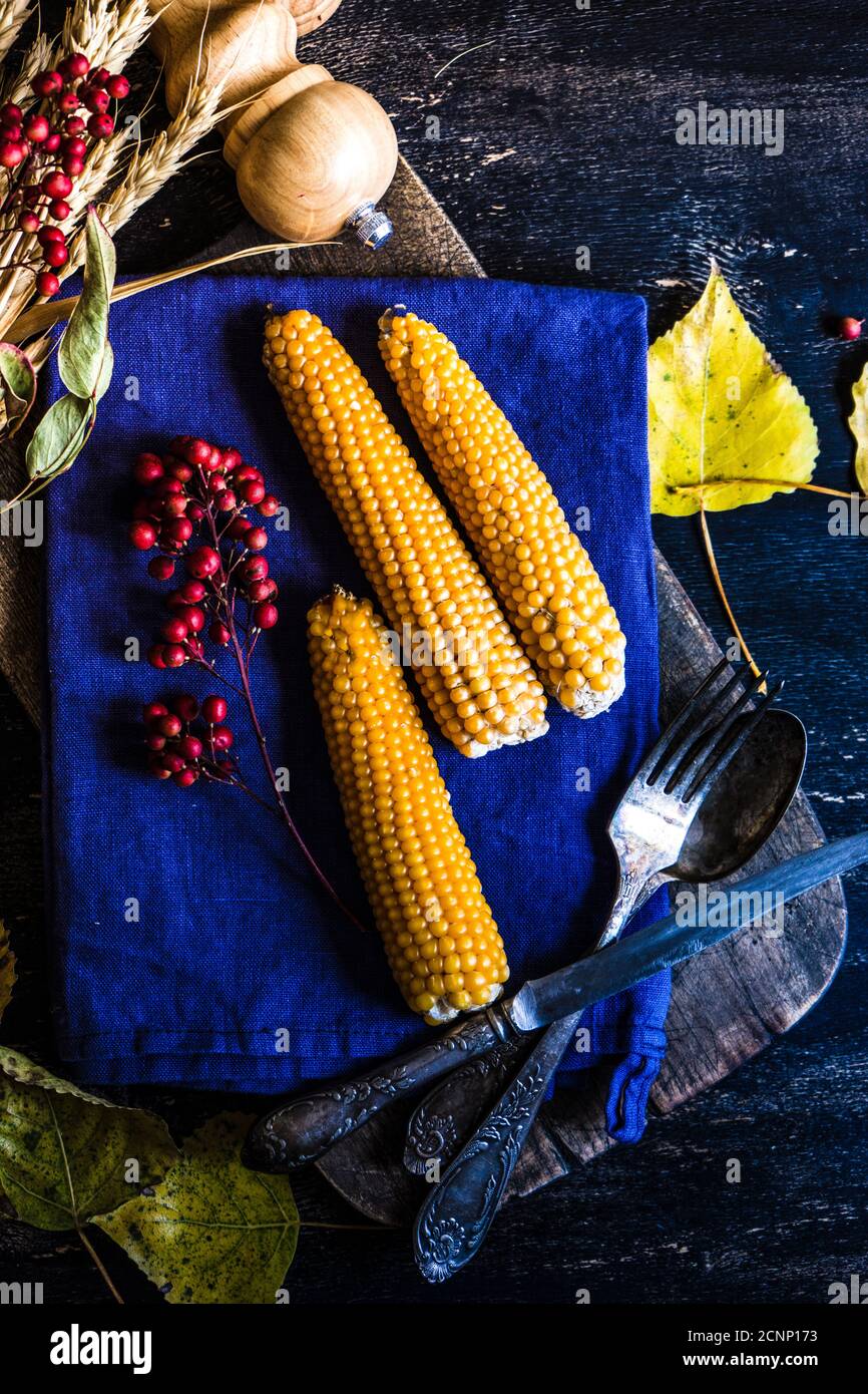Concetto di rendimento di grazie e di raccolta autunnale Foto Stock