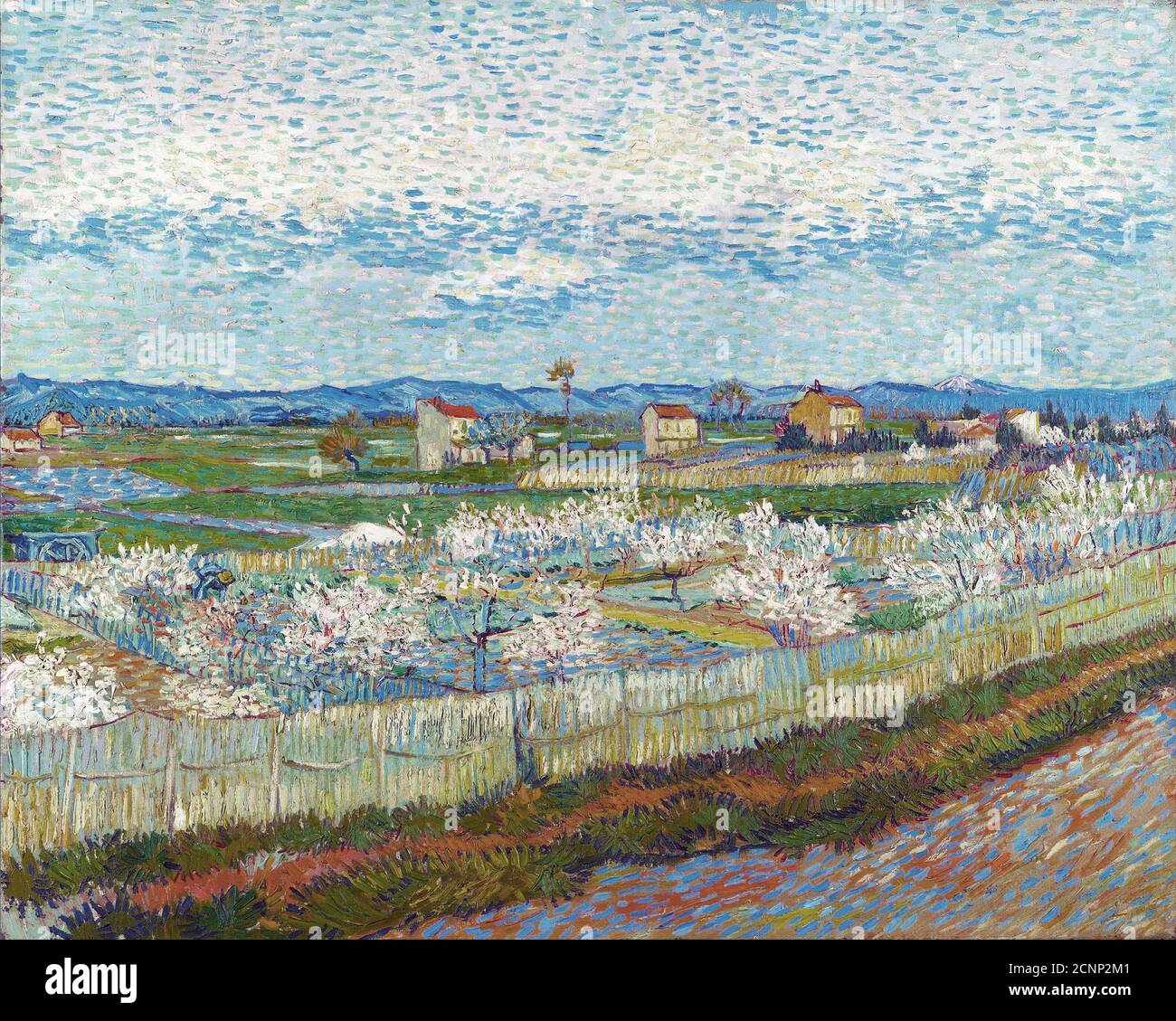 Alberi di pesca in fiore, 1889. Trovato nella collezione del Courtauld Institute of Art, Londra. Foto Stock