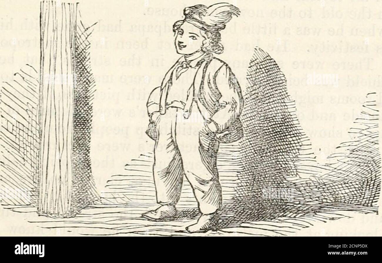 . Storie per la famiglia . GEANDFATHEK RACCONTANDO DI QUESTO. Benvenuto, e il petto della gilda dei lavoratori, e le loro maniche-camicia sono stati adornati con nastri rossi e bianchi; i più anziani hanno portato drawnswords, ciascuno con un limone bloccato sul suo punto. C'era una banda piena di musica, e il più splendido di tutti gli strumenti era l'uccello, come il nonno ha chiamato il grande bastone con la mezzaluna in cima, e allmody di dingle-dangles appeso ad esso, un perfetto clatter turco di musica.il bastone è stato sollevato in alto in aria, e ha oscillato su e giù fino a itjingled ancora, e abbastanza abbagliato uno occhi quando Foto Stock