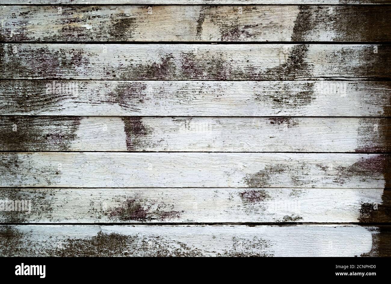 Legno bianco vecchio sporco verniciato texture per il vostro disegno o. progetto Foto Stock