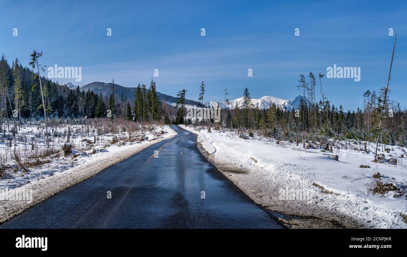 Strada asfaltata nera circondata da neve e foreste che conduce alla catena innevata dei Monti Tatra in inverno, Bukowina Tatrzanska, Polonia Foto Stock