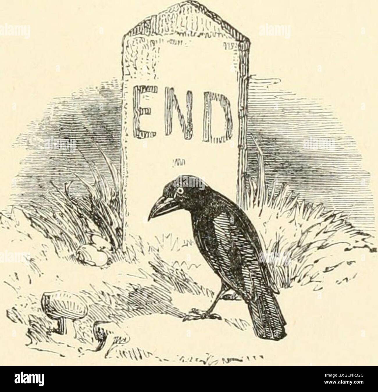. Le filastrocche d'Inghilterra. Buon ragazzo. 311 quando saremo sposati .... 22J quando la sabbia alimenta l'argilla. .75 quando la neve è a terra . . 25D quando il vento è ad est . . 70 quando V e i insieme si incontrano . .78 dove stai andando, la mia bella rovina? INDICE 107. Dove sei stato tutto il dayWhere sei stato al giorno, Biliy, mio figlio .Where era uno zucchero e fretty ...Whistle, figlia, fischio, fischio, figlia dearWho viene qui? ...Chi va a casa mia questa notte? . Chi sta girando il mio ovile? . Willy boy, Willy boy, dove vai. Willy, Willy Wilkin . Volontà Foto Stock